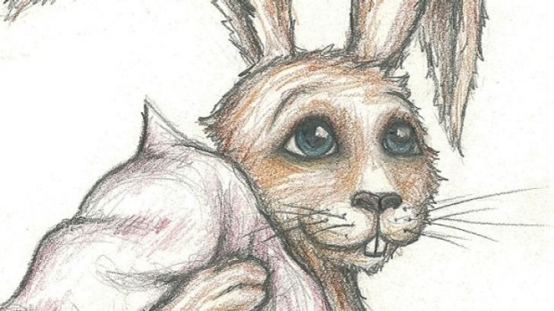 <i>The Rabbit Who Wants to Fall Asleep</i> has become a worldwide hit.