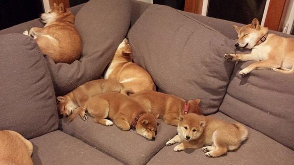 awwww-cute:
“ Ohh, so where do I sit
”