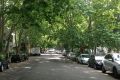 Cooling coverage: a leafy street in Alexandria. 