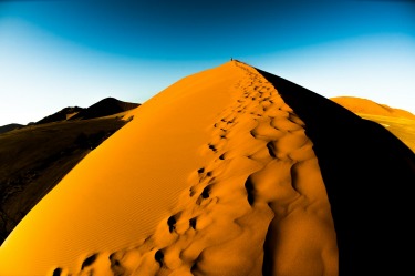 Taken in the early morning  hours while climbing Dune 45 . These amazing sand dunes change shape and colour before one's ...