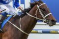 Winx ridden by Hugh Bowman