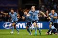 Ecstatic: Sydney FC players celebrate winning the grand final penalty shootout.