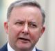 Celebrate our victories: Anthony Albanese has distanced himself from Labor leader Bill Shorten's budget reply.