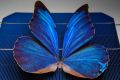 Engineers have invented tiny structures inspired by butterfly wings that open the door to new solar cell technologies.