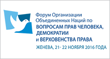  Форум Организации Объединённых Наций по вопросам прав человека, демократии и верховенства права