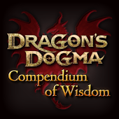 Dragon's Dogma Wisdom