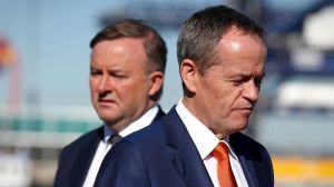 Celebrate our victories: Anthony Albanese has distanced himself from Labor leader Bill Shorten's budget reply.