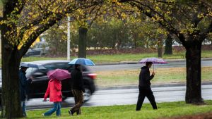 People braving the rain on Commonweath Avenue.