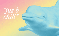 weekend relax chill dolphin calm down