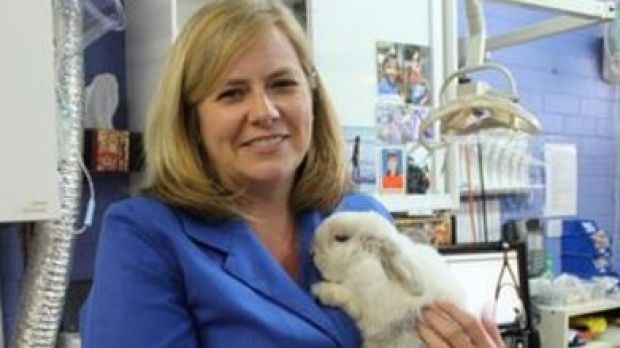 Elizabeth-Jo Willot Vickridge specialises in household rabbits.