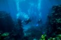 Divers look at fish life and coral on Flynn Reef near Cairns.