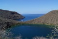 The Galapagos Islands are hell for some, paradise for others.