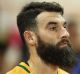 Success story: Socceroos' captain Mile Jedinak.