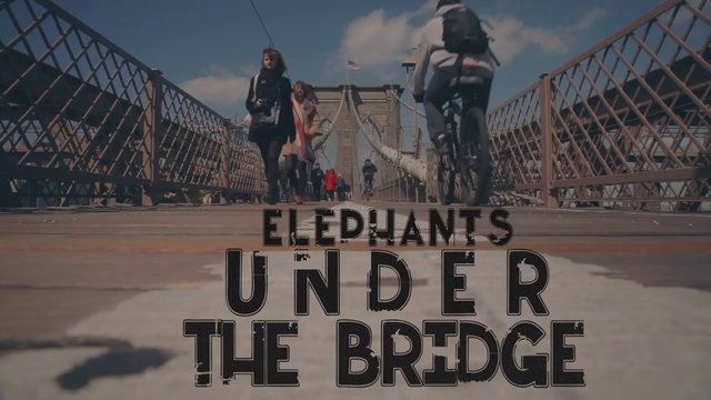 Elephants Under the Bridge