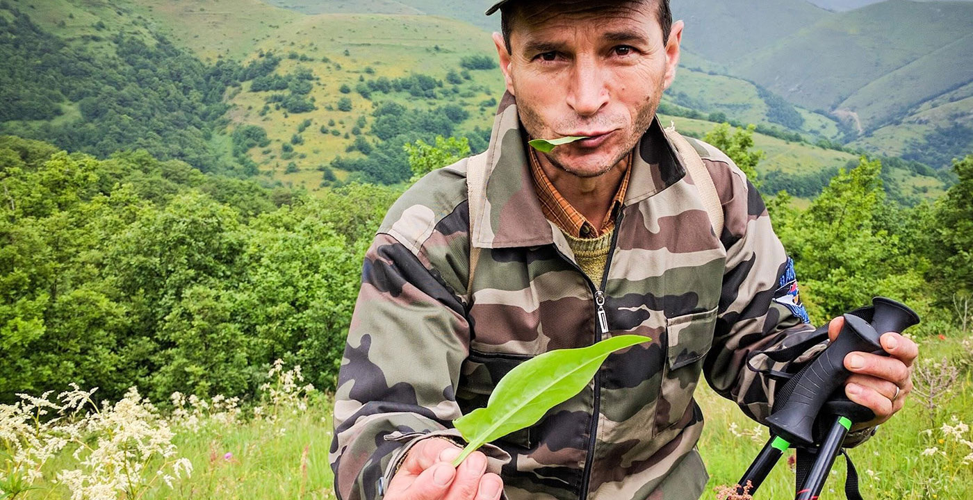 Healing Herbs: Folk Remedies in Armenia