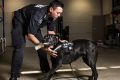 Melbourne airports currency and detection dog, Albie 2, with AFP national canine Senior Constable Craig Manning.