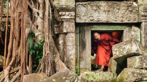 Ta Prohm at Angkor Wat, Siem Reap, Cambodia.