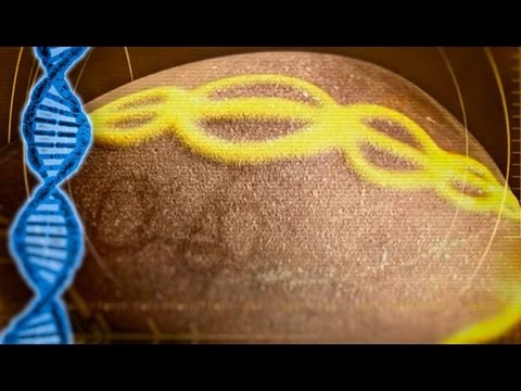 Why is there a DNA Double Helix Carved on this 7,000 Year old Portuguese Cosmic Egg?