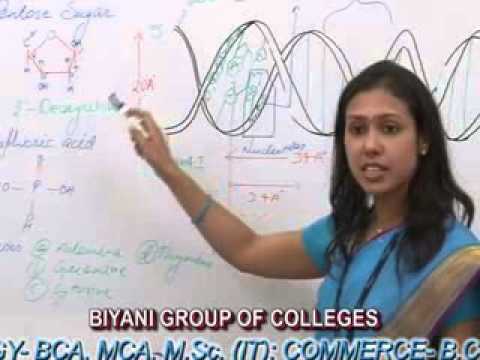 Structure of DNA( B.Sc., M.Sc.) lecture by Pragya Dhakar