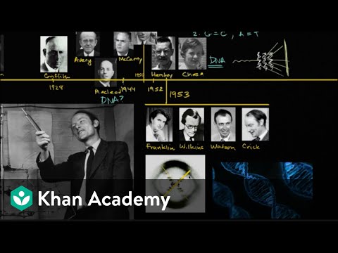 The discovery of the double helix structure of DNA