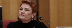 Pauline Hanson raised the issue of cattle exports at the regional and rural affairs committee.