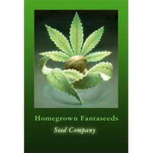 Homegrown Fantaseeds