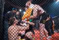 WA Labor is making changes to Mixed Martial Arts safety