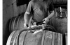 <b>Chris Bendle</b><br>
DCB Wine, Yarra Valley in Victoria.
Whilst working as a winemaker at Hoddles Creek, Bendle has ...