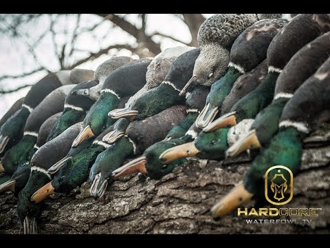 Frozen Sheetwater Duck Hunting: Hard Core Waterfowl TV Episode 4