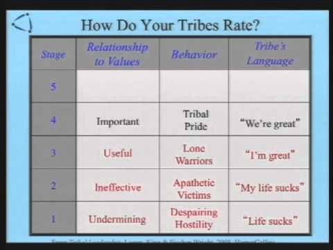 Tribal Leadership