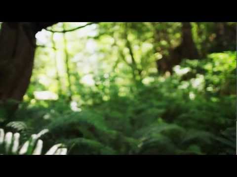 Emancipator "Minor Cause" Official Music Video