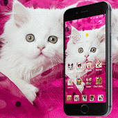 Pink Persian white Cat theme