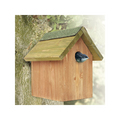 Bird Box with built-in Camera