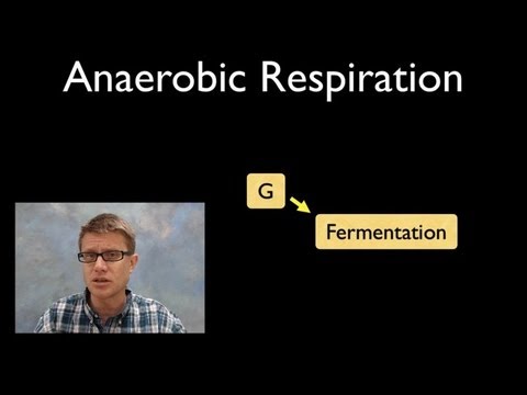 Anaerobic Respiration