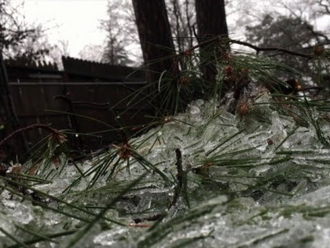 Illinois Residents Clean Up After Ice Storm