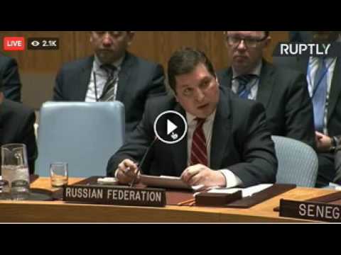 Russia Addresses UN Security Council Following US Strikes in Syria