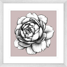  - In Bloom Collection - Framed Art Prints (BLOOM02) - Artwork