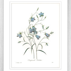  - Botanicals - Framed Art Prints (BOT03) - Artwork