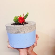  - Concrete Planter - Extra Large - Outdoor Pots and Planters