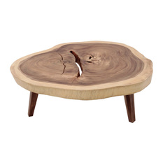  - Table basse TRONC - Table Basse