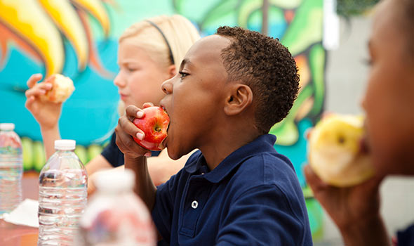 Tips for School Lunches