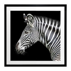  - Zebra Framed Print - Photographs