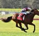 John Allen drives two-year-old Cliff's Edge to victory in the opening race on the card at Sandown on Saturday.