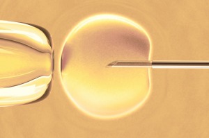 The NHMRC has banned IVF clinics from offering sex-selection. 