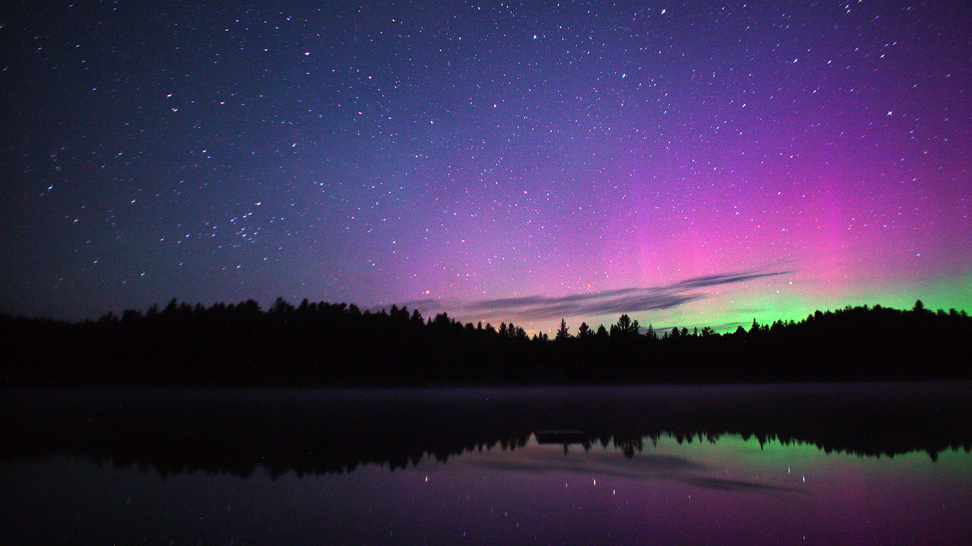 Watch Algonquin Park Come Alive At Night