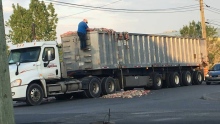 sanimax truck carcass spill