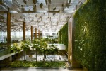 The vertical 'green wall' garden in Terminal 3 at Changi Airport.