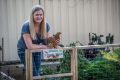 Isabella Plains gardener Christine Kefford harvesting beetroot; 2). Pekin bantams (chickens); 3) the raised vegie patch ...