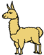 llama!