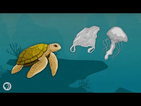 How Much Plastic is in the Ocean?